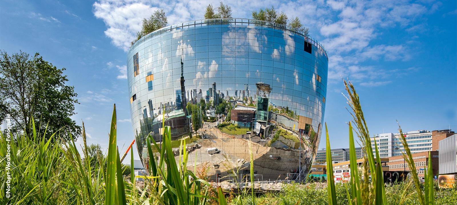 Roof garden with trees on top of a building with a glass facade